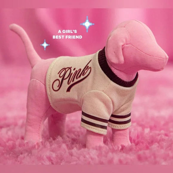 PINK Victoria’s Secret Mini Dog & Cozy Blanket Set - Picture 5 of 5